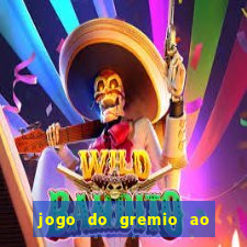 jogo do gremio ao vivo hd